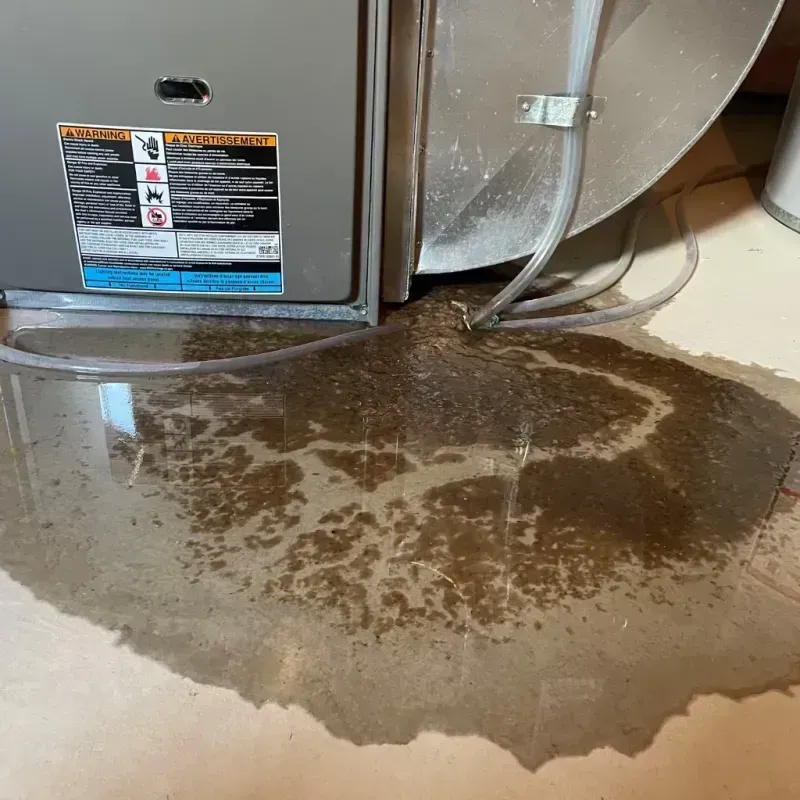 Appliance Leak Cleanup in Nelson County, VA